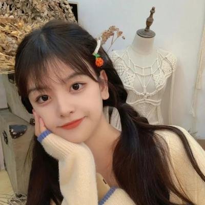 卧虎藏龙2